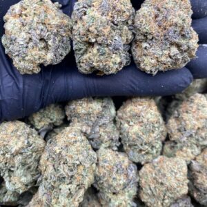 Blue Gelato Strain