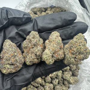 Bubblegum Popperz Strain