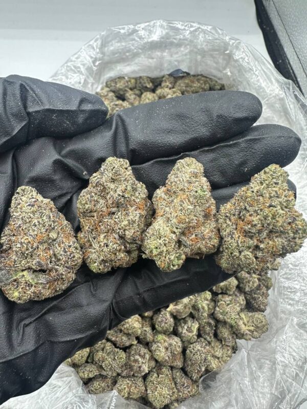Bubblegum Popperz Strain
