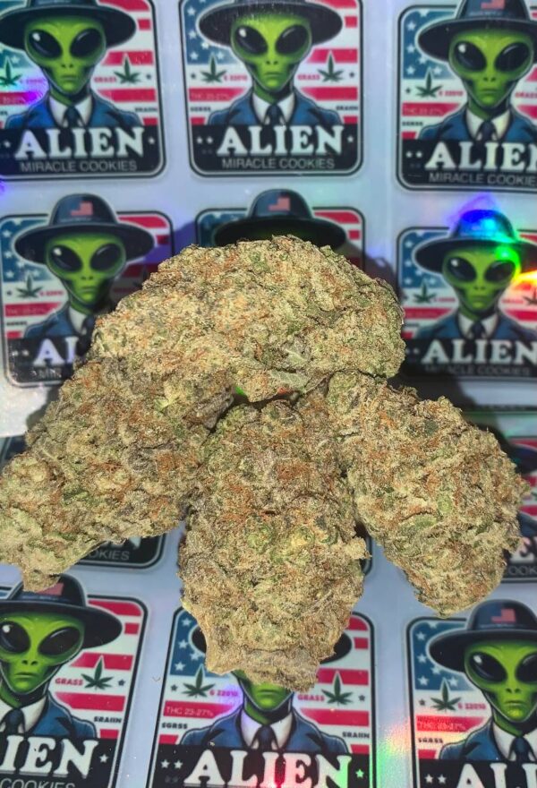 Miracle Alien Cookies Strain