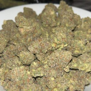 Amnesia Haze Strain