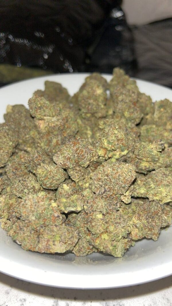 Amnesia Haze Strain
