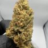 AK 47 Strain