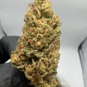 AK 47 Strain