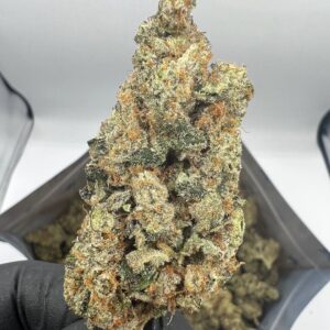 chemdawg strain