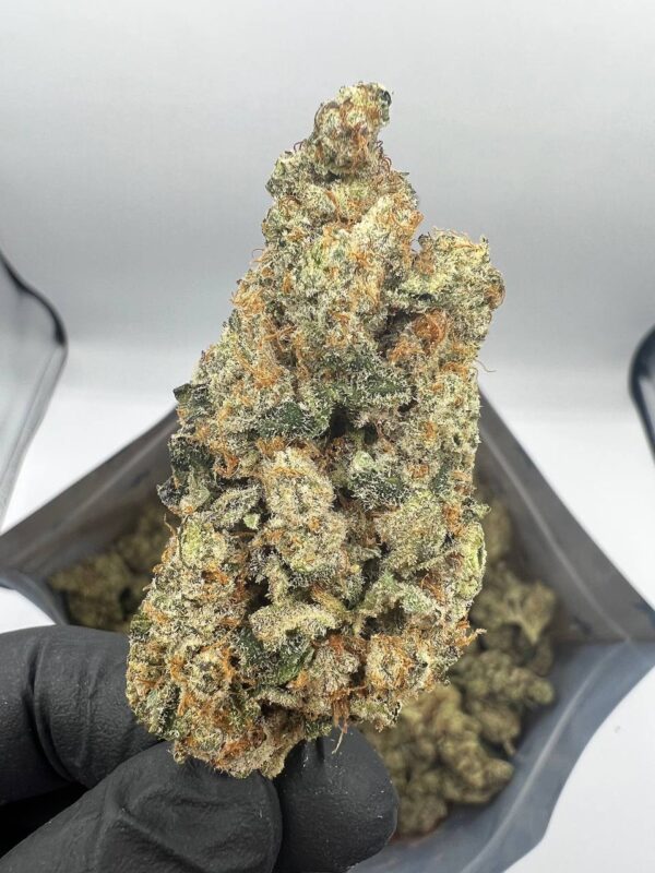 chemdawg strain