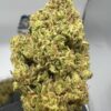 Zoapscotti Strain