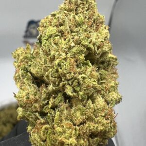 Zoapscotti Strain