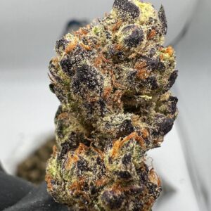 afghani strain