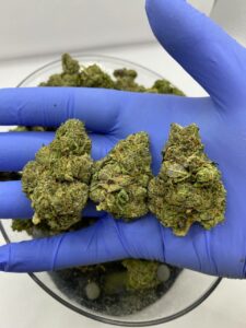 OG Kush